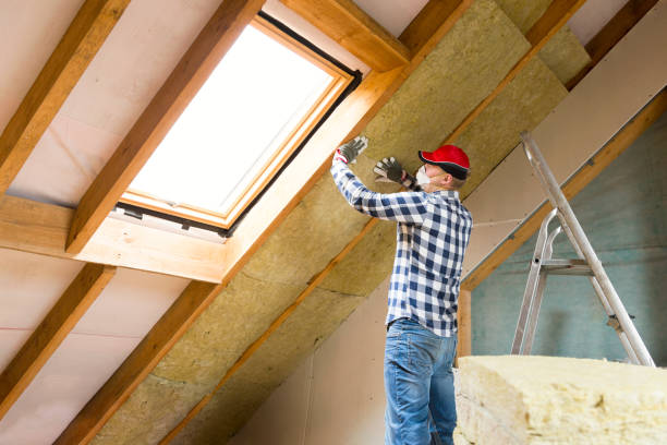 Trusted Mountain Village, CO Insulation Removal & Installation Experts